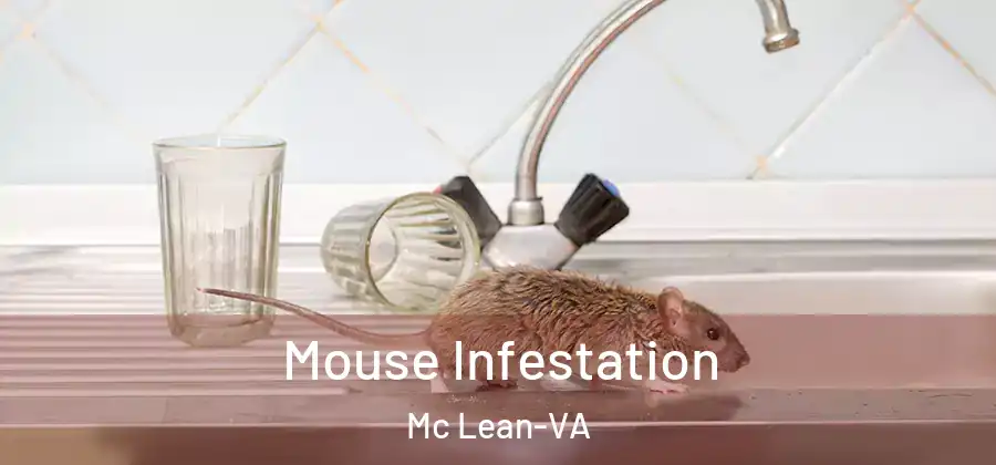 Mouse Infestation Mc Lean-VA