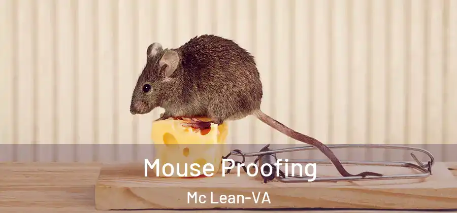 Mouse Proofing Mc Lean-VA