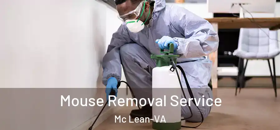  Mouse Removal Service Mc Lean-VA