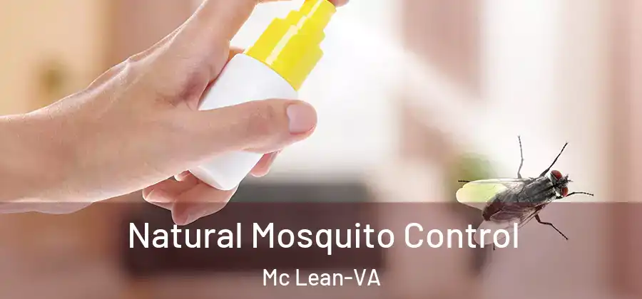  Natural Mosquito Control Mc Lean-VA