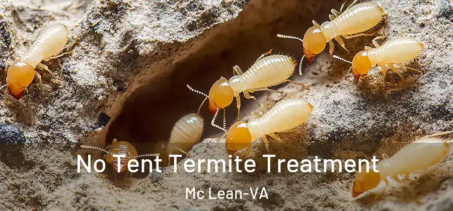 No Tent Termite Treatment Mc Lean-VA