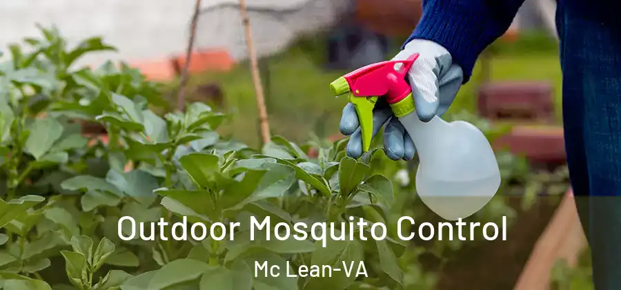 Outdoor Mosquito Control Mc Lean-VA