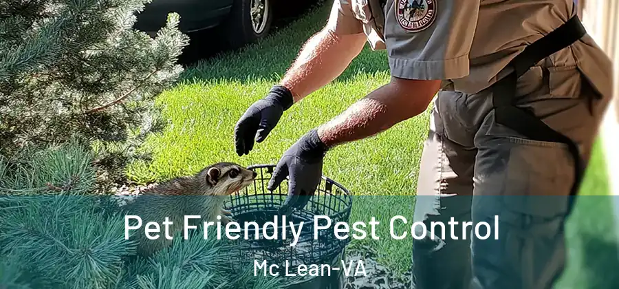  Pet Friendly Pest Control Mc Lean-VA
