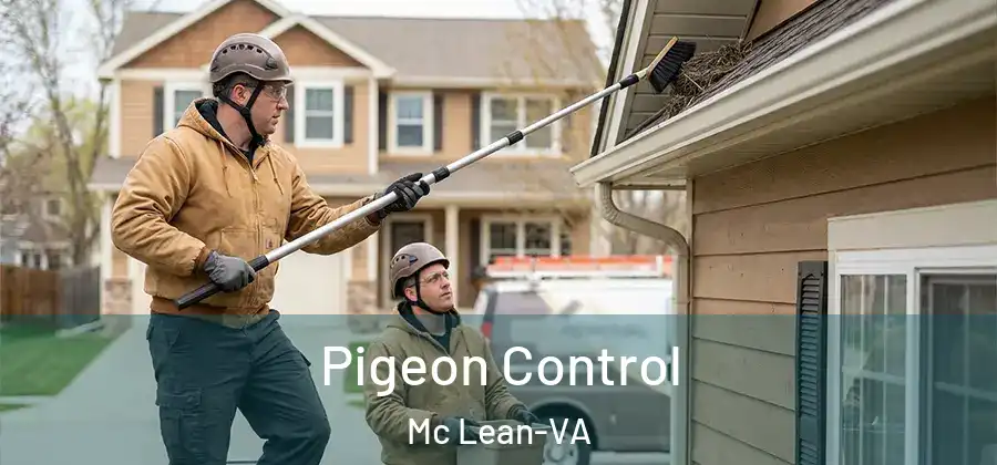 Pigeon Control Mc Lean-VA