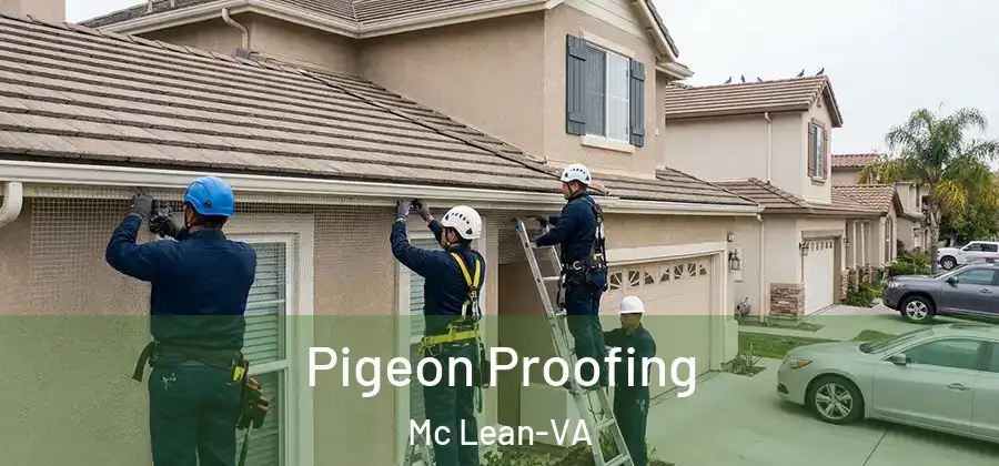 Pigeon Proofing Mc Lean-VA