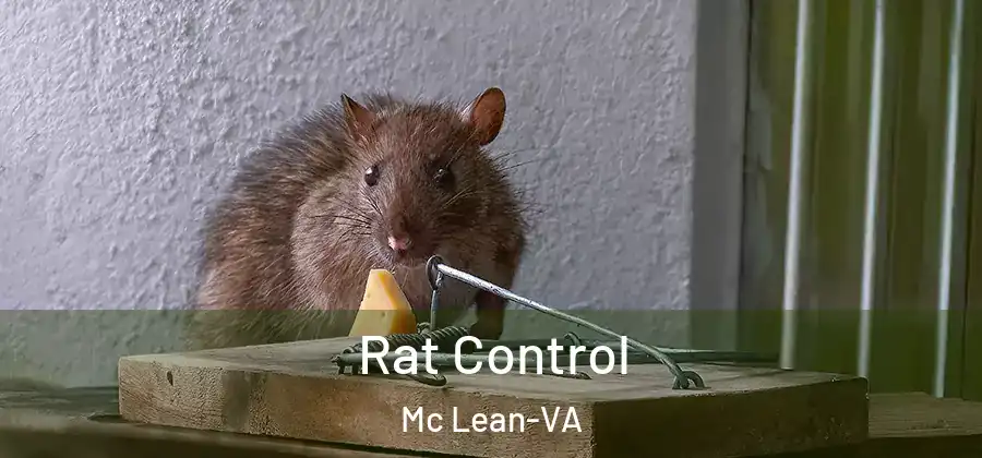 Rat Control Mc Lean-VA