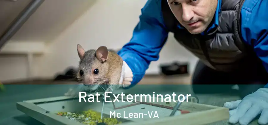 Rat Exterminator Mc Lean-VA