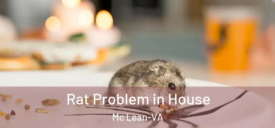 Rat Problem in House Mc Lean-VA