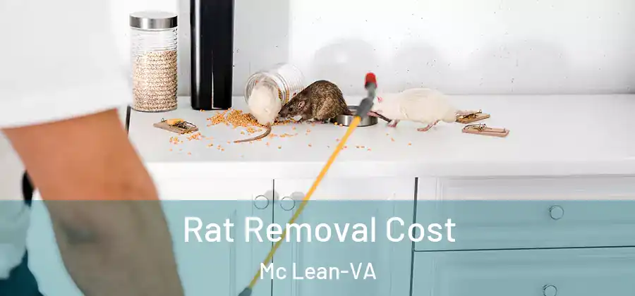  Rat Removal Cost Mc Lean-VA