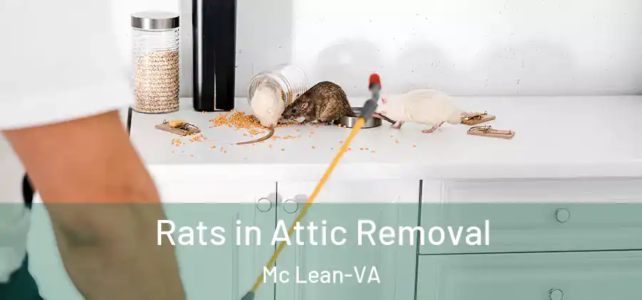Rats in Attic Removal Mc Lean-VA