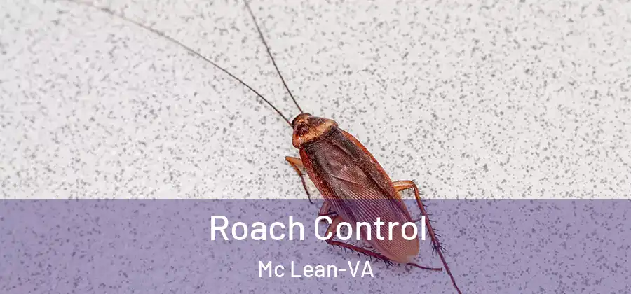 Roach Control Mc Lean-VA