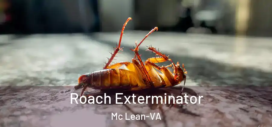 Roach Exterminator Mc Lean-VA