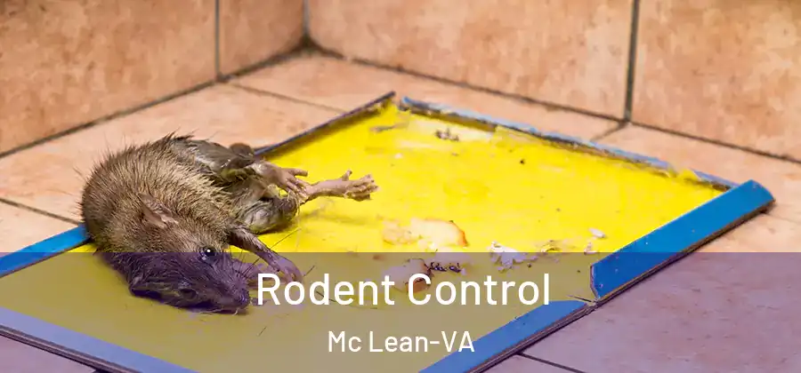 Rodent Control Mc Lean-VA