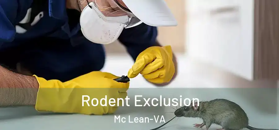 Rodent Exclusion Mc Lean-VA