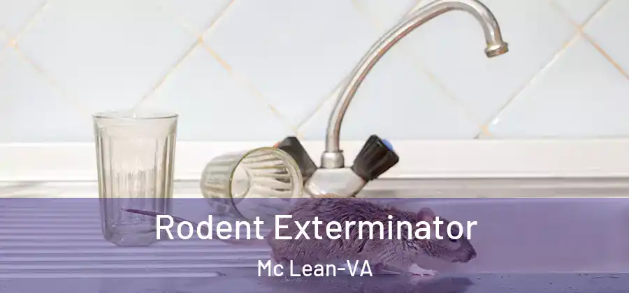 Rodent Exterminator Mc Lean-VA