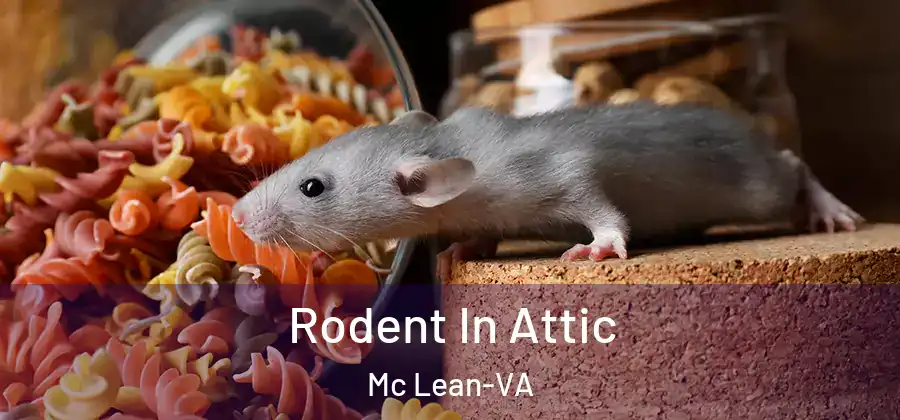  Rodent In Attic Mc Lean-VA