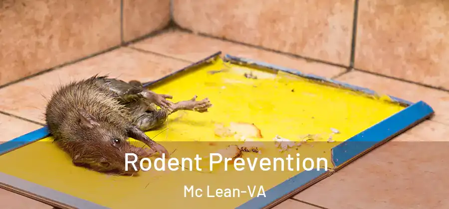  Rodent Prevention Mc Lean-VA