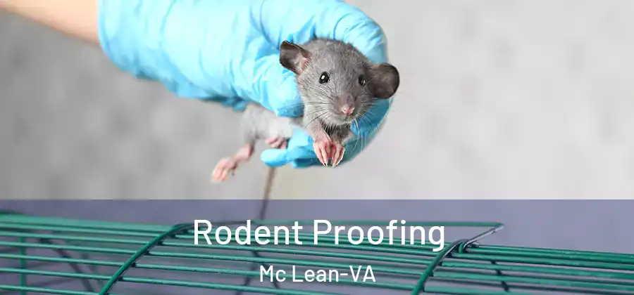 Rodent Proofing Mc Lean-VA