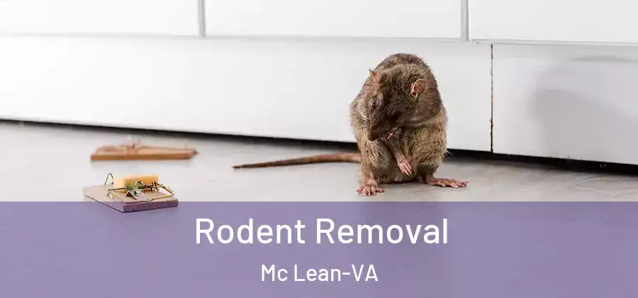  Rodent Removal Mc Lean-VA