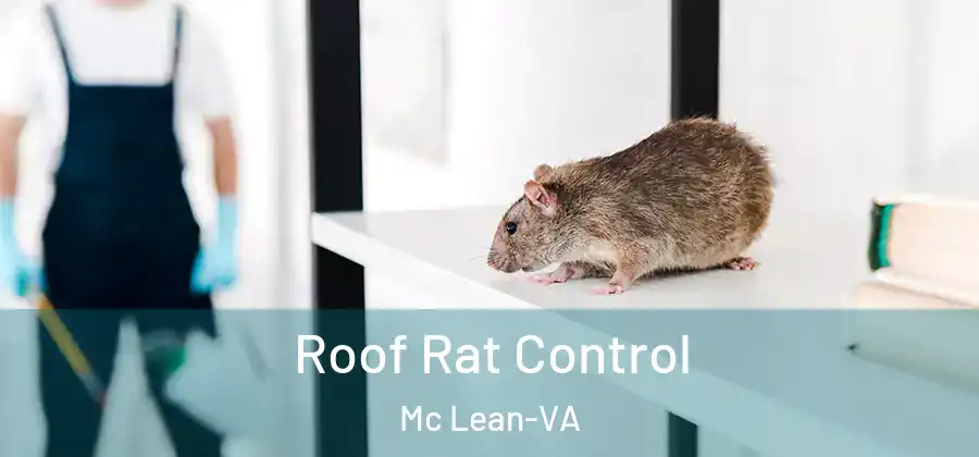  Roof Rat Control Mc Lean-VA