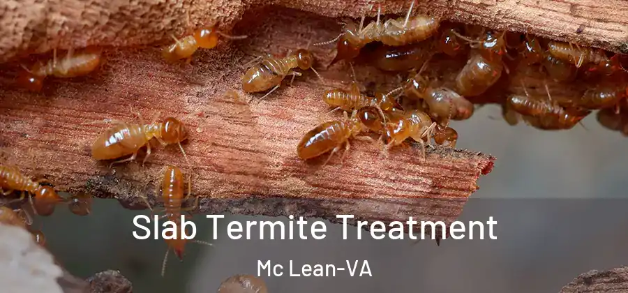 Slab Termite Treatment Mc Lean-VA