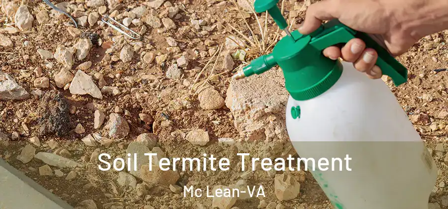Soil Termite Treatment Mc Lean-VA