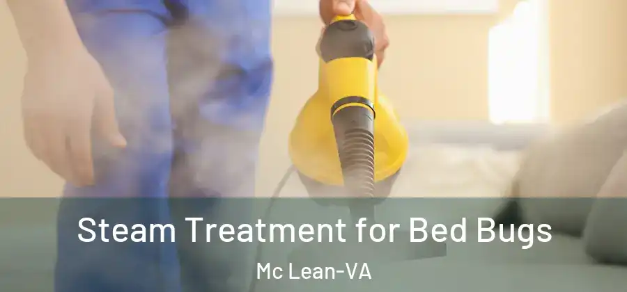 Steam Treatment for Bed Bugs Mc Lean-VA