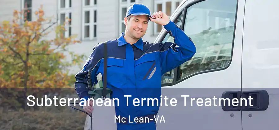 Subterranean Termite Treatment Mc Lean-VA