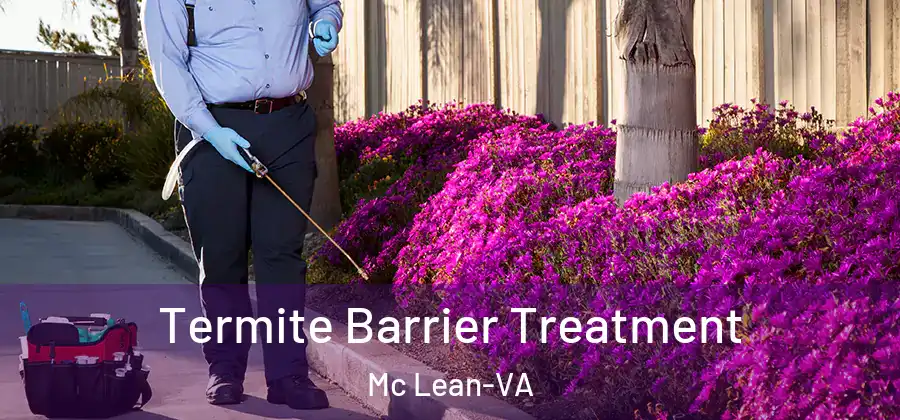 Termite Barrier Treatment Mc Lean-VA