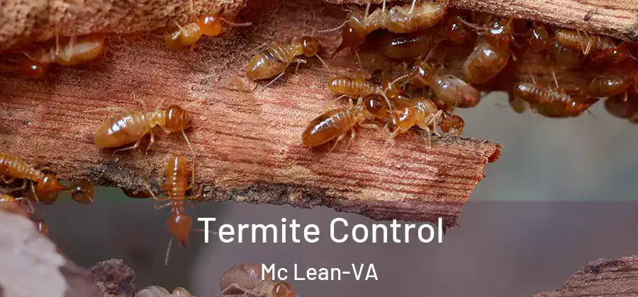 Termite Control Mc Lean-VA