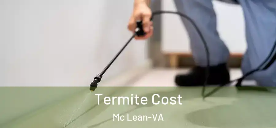Termite Cost Mc Lean-VA