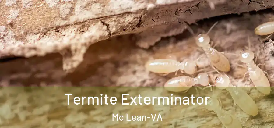 Termite Exterminator Mc Lean-VA