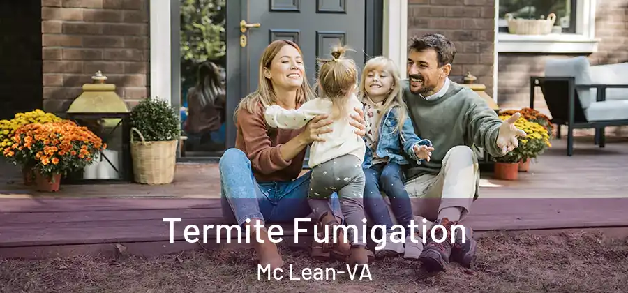 Termite Fumigation Mc Lean-VA