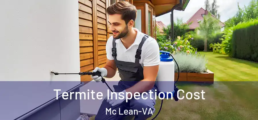 Termite Inspection Cost Mc Lean-VA
