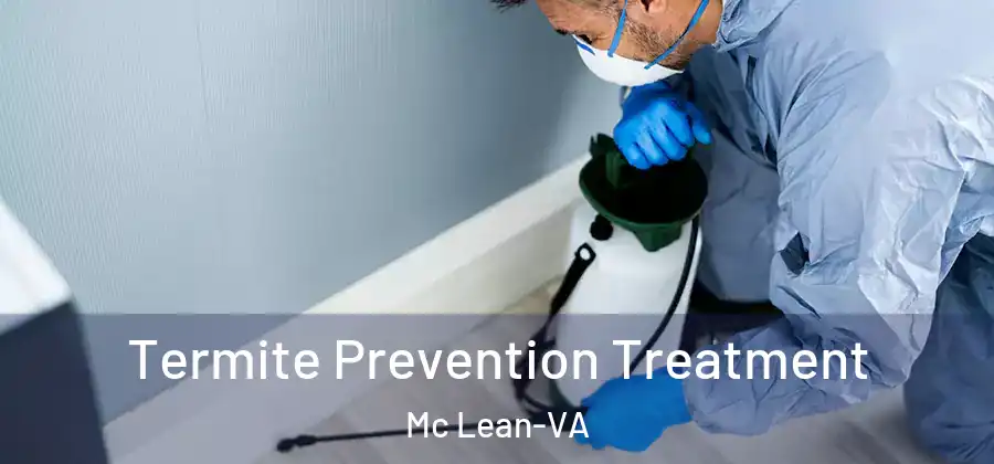  Termite Prevention Treatment Mc Lean-VA