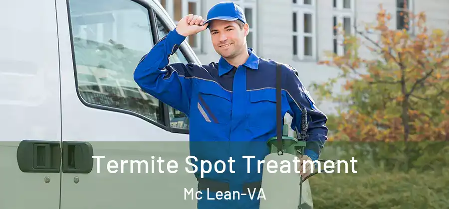  Termite Spot Treatment Mc Lean-VA