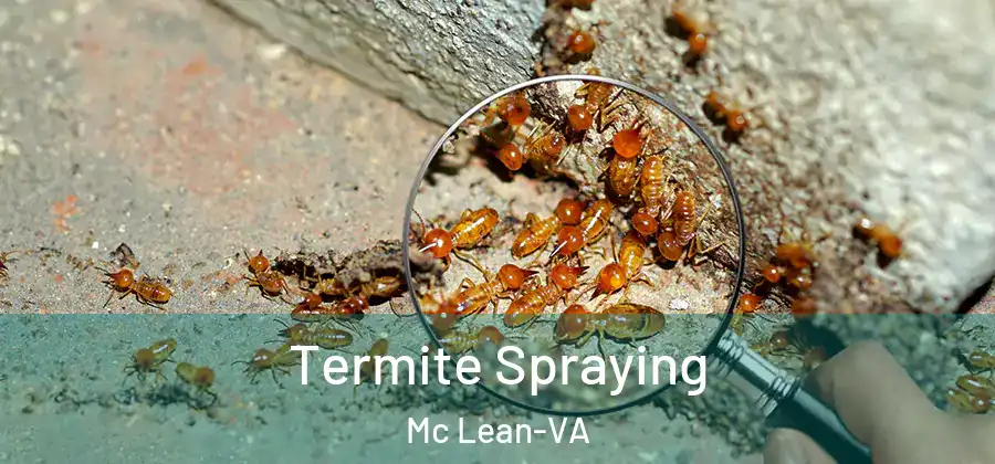  Termite Spraying Mc Lean-VA