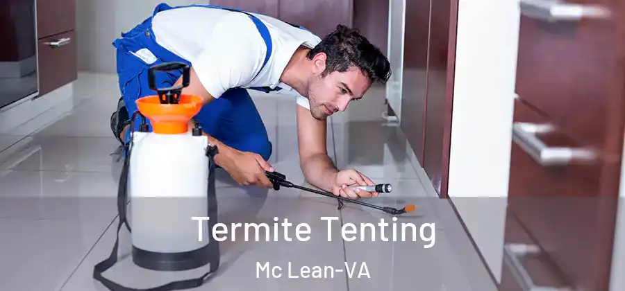 Termite Tenting Mc Lean-VA