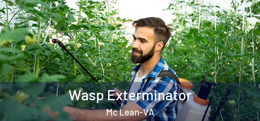 Wasp Exterminator Mc Lean-VA