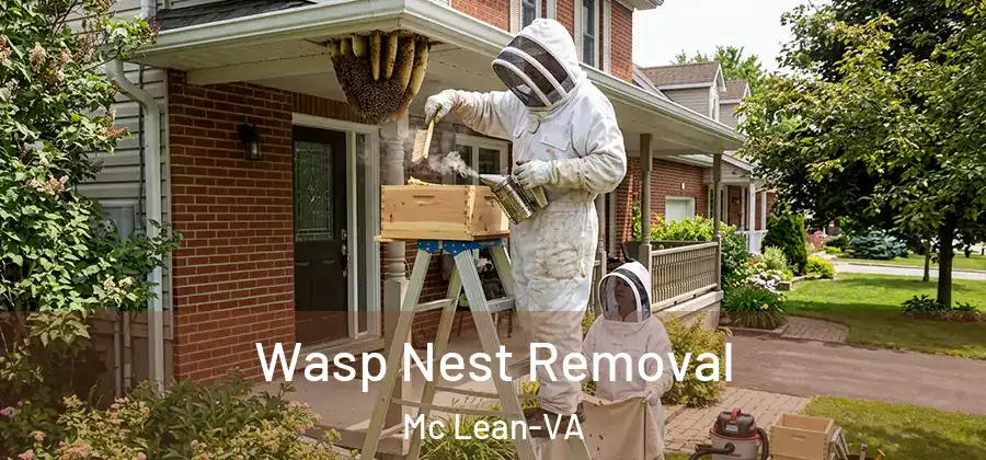 Wasp Nest Removal Mc Lean-VA