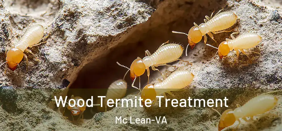 Wood Termite Treatment Mc Lean-VA