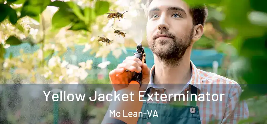 Yellow Jacket Exterminator Mc Lean-VA